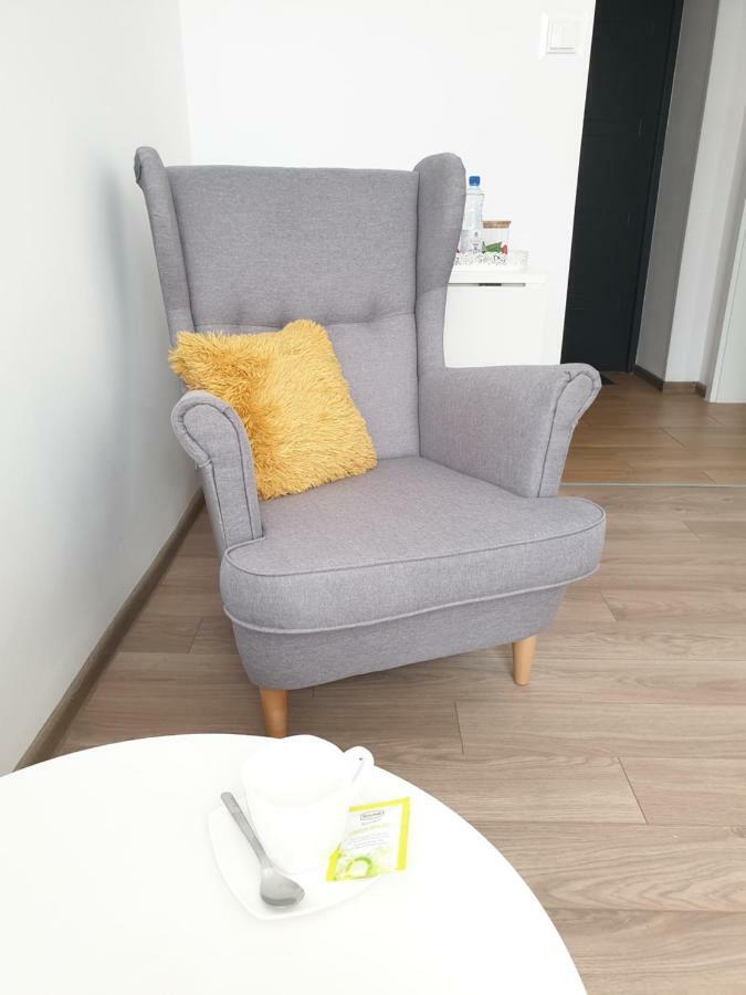 Apartament Skandia Torun Bagian luar foto